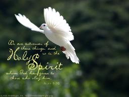 "FOLLOW THE LEADING OF THE HOLY SPIRIT" BY ANDREW WOMMACK 