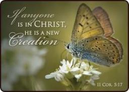 "BEING A NEW CREATURE IN JESUS" BY DAVID MCMILLEN 