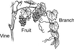 "OUR LIFE IS IN HIM" BY ANDREW WOMMACK 