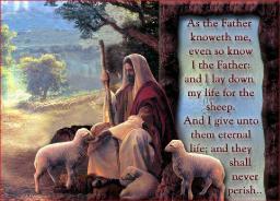 "LOST REVERENCE FOR GOD AND THE BIBLE" BY DAVID MCMILLEN 