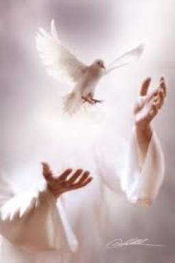 "BE A WITNESS, NOT A JUDGE" BY ANDREW WOMMACK 