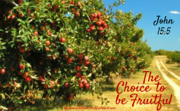 "BEING FRUITFUL" BY DAVID MCMILLEN 