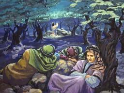 "WALK IN THE LIGHT" BY ANDREW WOMMACK 