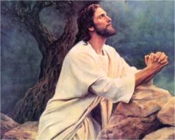 A MESSAGE FROM ANDREW WOMMACK OR ANDREW WOMMACK MINISTRIES