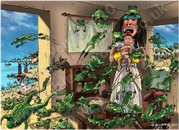 "ONE MORE NIGHT AMONG THE FROGS" BY DAVID MCMILLEN 