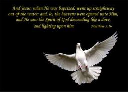 "DON'T BE LUKEWARM" BY DAVID MCMILLEN 