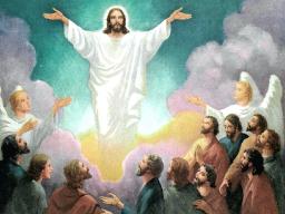 "NOTHING IS IMPOSSIBLE" BY ANDREW WOMMACK  