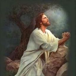 "DOES GOD'S WILL ALWAYS COME TO PASS?" BY DAVID MCMILLEN 