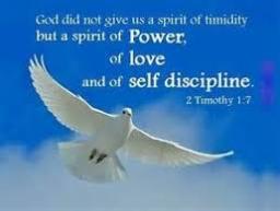 "SPIRITUAL FOOD" BY ANDREW WOMMACK 