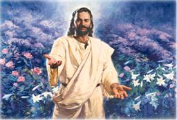 "ONLY THE HUNGRY ARE FED" BY ANDREW WOMMACK 