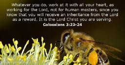 "HE WILL SHARE HIS REWARD" BY ANDREW WOMMACK 