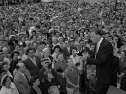 "A LIFESTYLE CHECK" BY ANDREW WOMMACK 