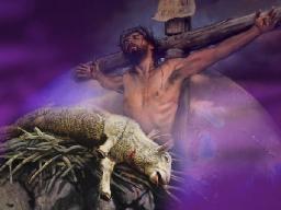 "WE MUST CHOOSE TO LOVE" BY DAVID MCMILLEN 