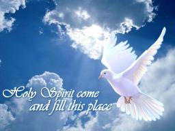 "THE UNPARDONABLE SIN" BY ANDREW WOMMACK 