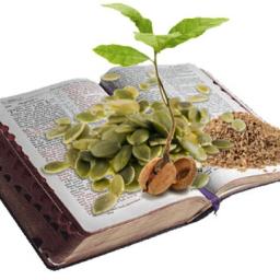 "GOD'S WORD: USE AS DIRECTED" BY ANDREW WOMMACK 