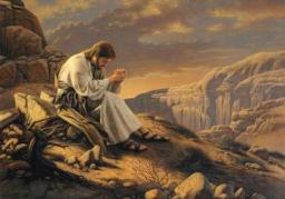 "REST AND RE-FIRE" BY ANDREW WOMMACK 