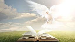 "THE BIBLE IS THE WORD OF GOD" BY DAVID MCMILLEN 