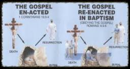 "THANK HIM BY DOING" BY DAVID MCMILLEN 