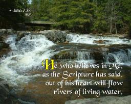 "EFFORTLESS FRUIT" BY ANDREW WOMMACK 