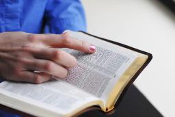 "REALLY STUDY THE WORD OF GOD" BY DAVID MCMILLEN 