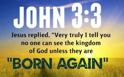 "BEING BORN AGAIN" BY DAVID MCMILLEN 