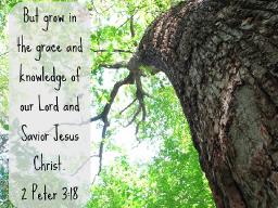 "GROW IN GRACE" BY ANDREW WOMMACK 