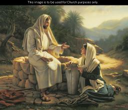 "WHY WERE YOU CREATED?" BY DAVID MCMILLEN 