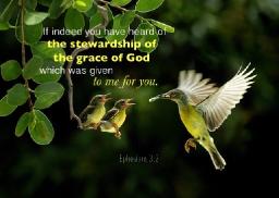 "STEWARDS OF GOD'S GRACE" BY ANDREW WOMMACK 