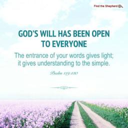 "NO EXCUSES" BY ANDREW WOMMACK 