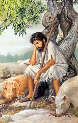 "HARD KNOCKS OR GOD'S WORD" BY ANDREW WOMMACK 