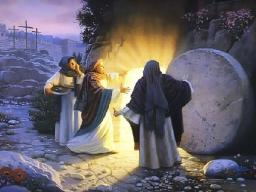 "FREED FROM THE LAW" BY ANDREW WOMMACK 