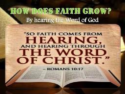 "THE MEASURE OF FAITH" BY ANDREW WOMMACK 