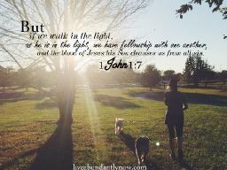 "WALK IN THE LIGHT" BY ANDREW WOMMACK 