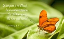 "NEW CREATURE IN CHRIST" BY DAVID MCMILLEN 