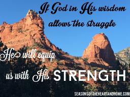 "USING GOD'S WISDOM" BY DAVID MCMILLEN 