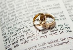 "ONE FLESH" BY ANDREW WOMMACK 