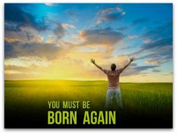 "ARE YOU SURE YOU ARE BORN AGAIN?" BY DAVID MCMILLEN 