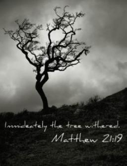 "OUR WORDS ARE ALIVE" BY ANDREW WOMMACK 