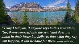 "HAVING FAITH TO BELIEVE" BY DAVID MCMILLEN 