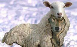 "GUARD AGAINST DECEPTION" BY ANDREW WOMMACK 