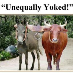 "BASE YOUR RELATIONSHIPS ON GOD" BY ANDREW WOMMACK 