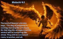 "JUDGEMENT DAY IS COMING" BY DAVID MCMILLEN 