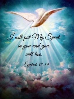 "GOD IS OUR COMFORT" BY ANDREW WOMMACK 