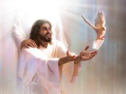 "WE HAVE A TRIUNE GOD" BY DAVID MCMILLEN 