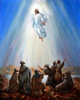 "JESUS IN THE FLESH" BY ANDREW WOMMACK 