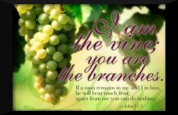 "WILL YOU LET JESUS USE YOU?" BY DAVID MCMILLEN 