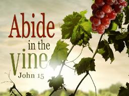 "OUR LIFE IS IN HIM" BY ANDREW WOMMACK 