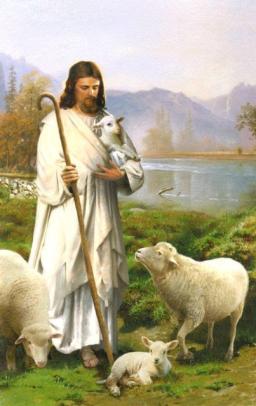 "ARE YOU LIKE SHREK, THE SHEEP?" BY DAVID MCMILLEN 