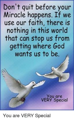 "FAITH -- HAVING IT AND USING IT" BY DAVID MCMILLEN 