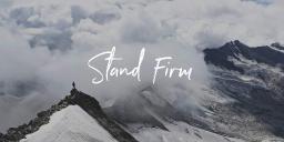 "THINGS TO STAND ON" BY DAVID MCMILLEN 